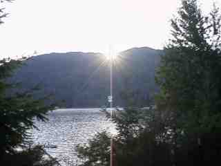 Lake Cushman Picture